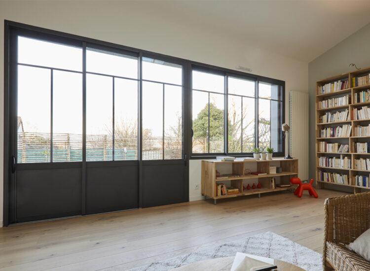 Baie vitree salon bibliotheque aluminium